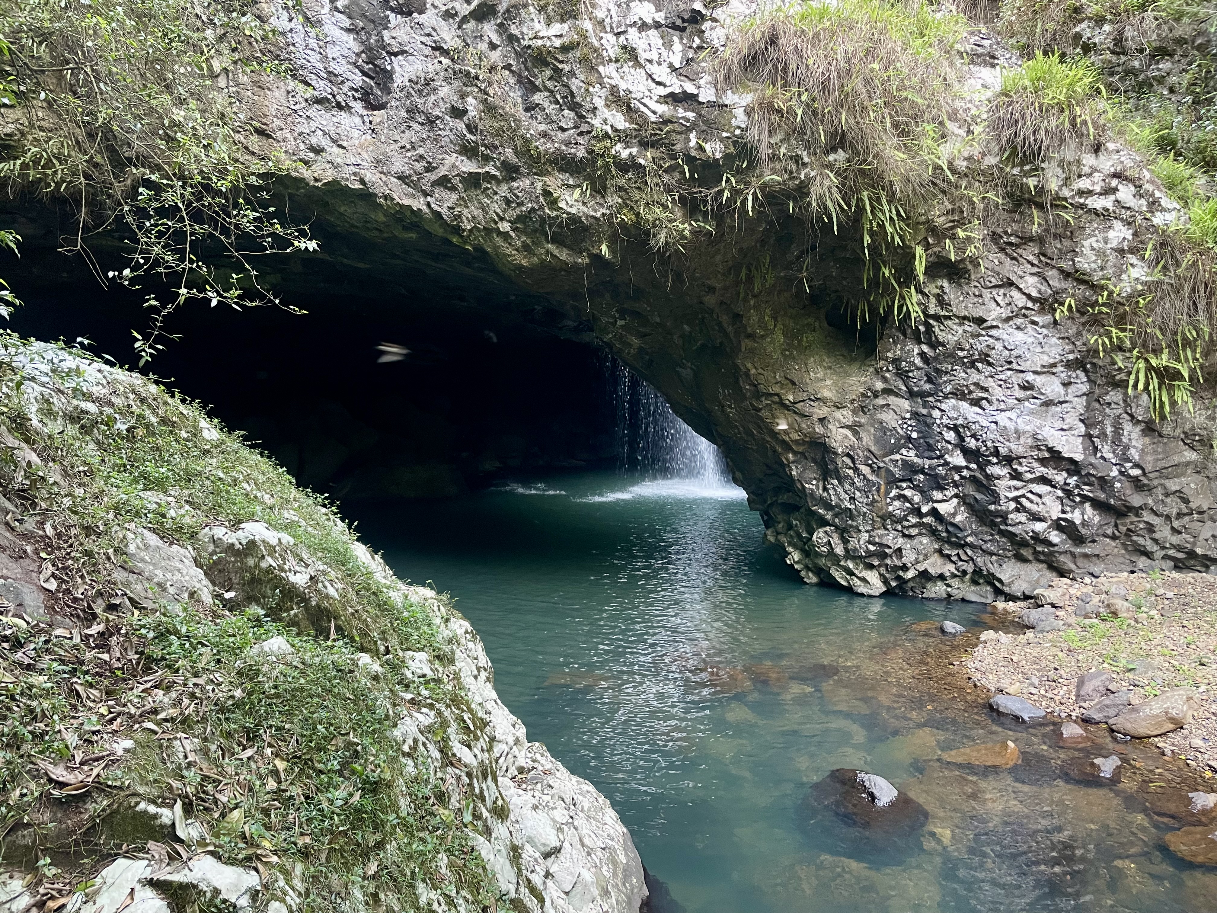 Mt Springbrook Road trip – Springbrook National Park – adventure therapy